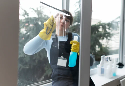 Nettoyage de vitres intérieures et extérieures à Mélisey